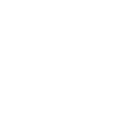 Plug n Play Model